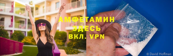 дурь Пересвет