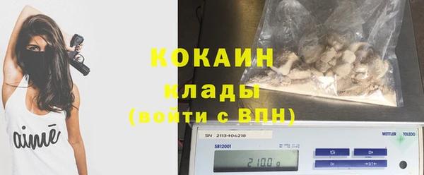 дурь Пересвет