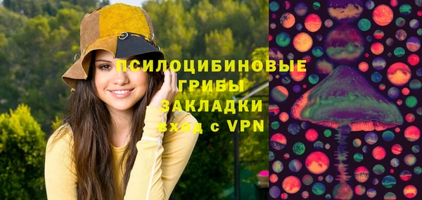 дурь Пересвет