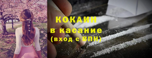 дурь Пересвет