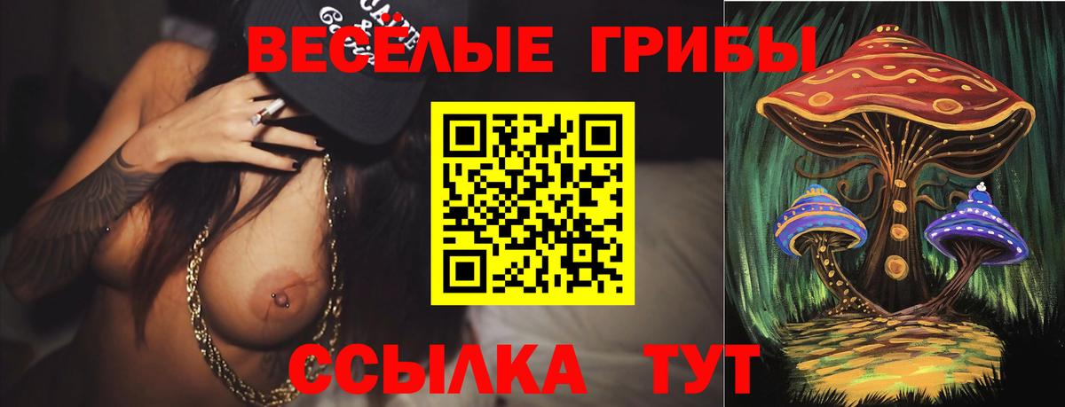 Ростов-на-Дону  Псилоцибиновые грибы Magic Shrooms  Вход с VPN 
